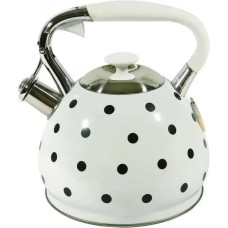 EB-1908 Чайник із свистком Edenberg із нержавіючої сталі 3.0 л з термоіндикатором
